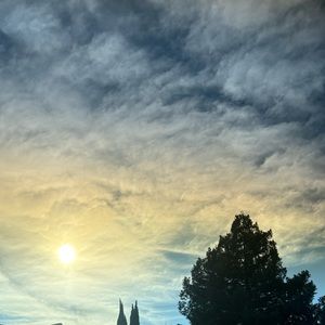 Meet your Posher, Eliana